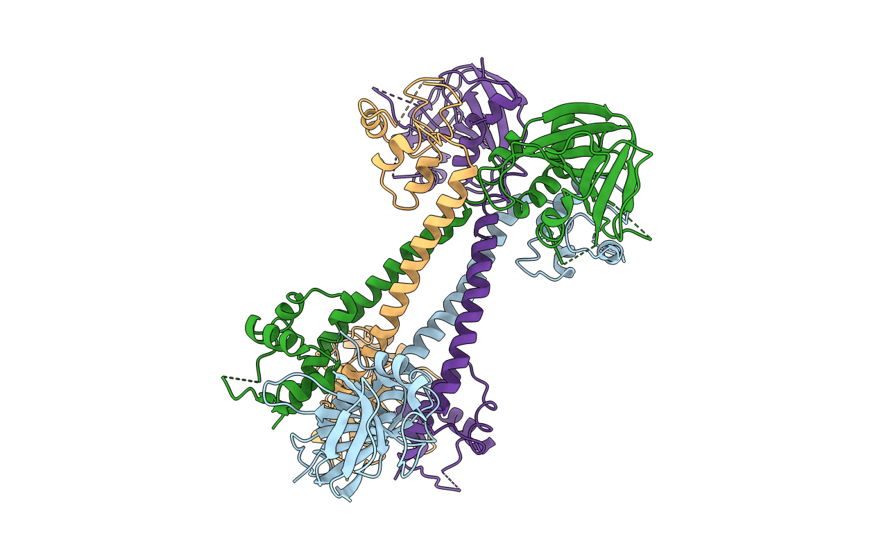 5YC9 image