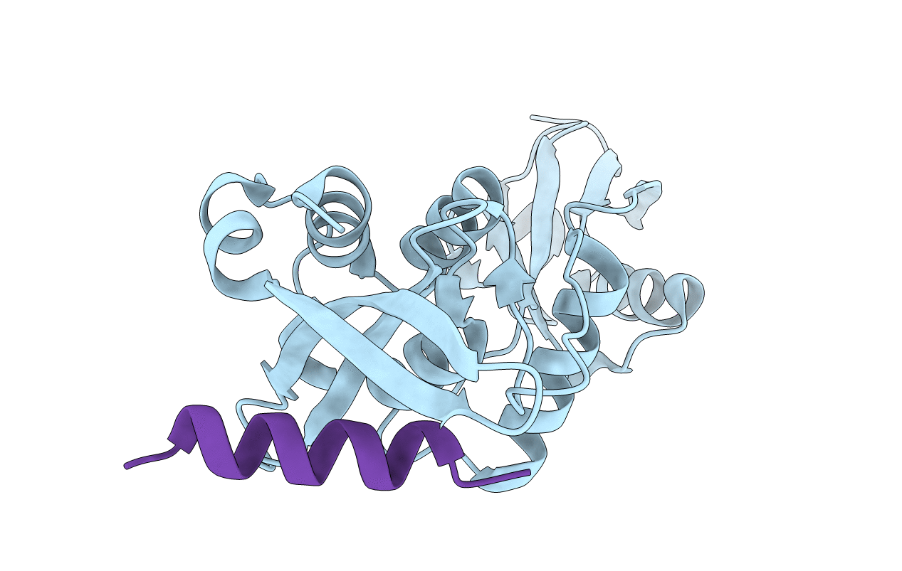 5YCA image