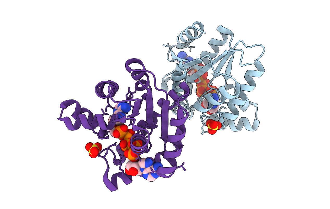 5YCB image
