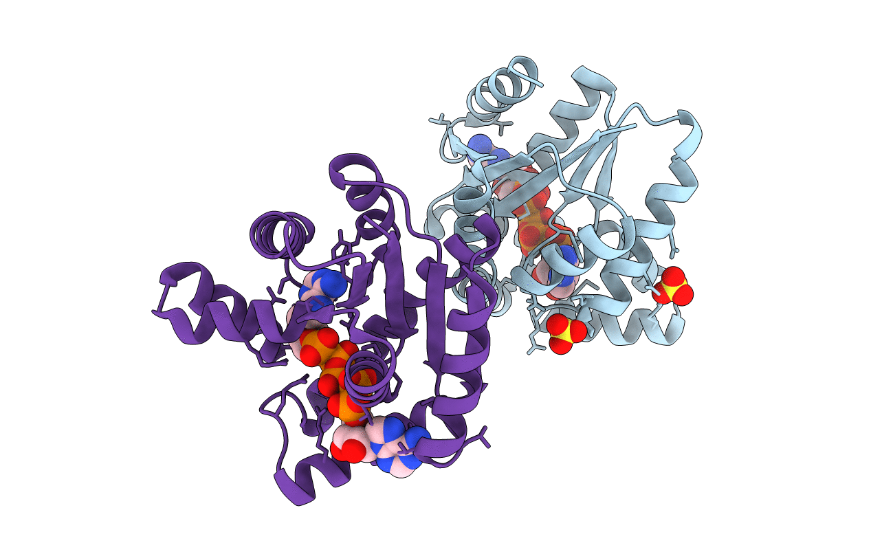 5YCC image
