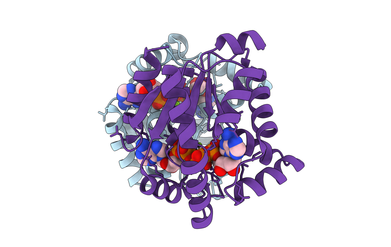 5YCD image