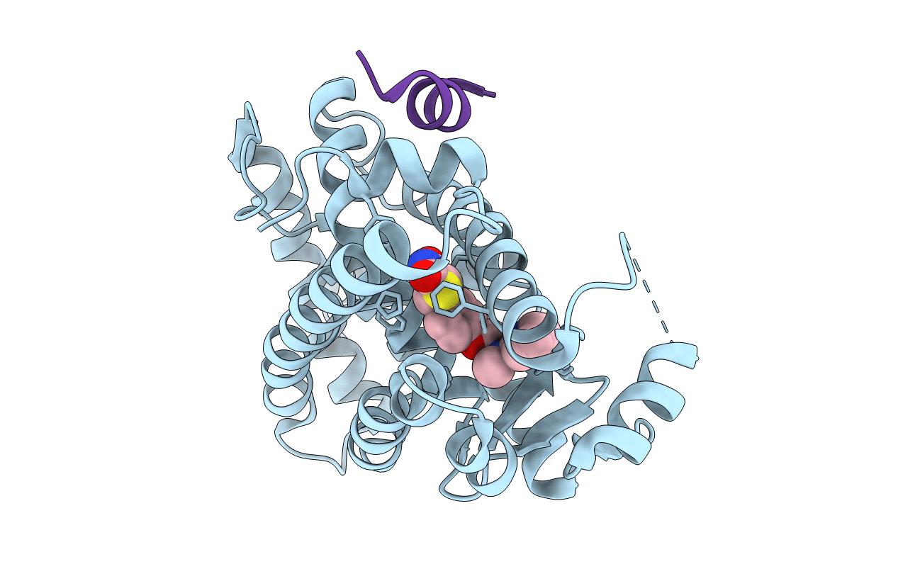 5YCP image