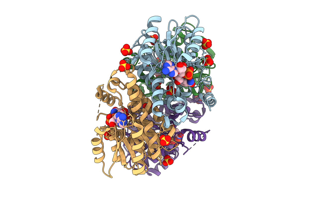 5YCR image