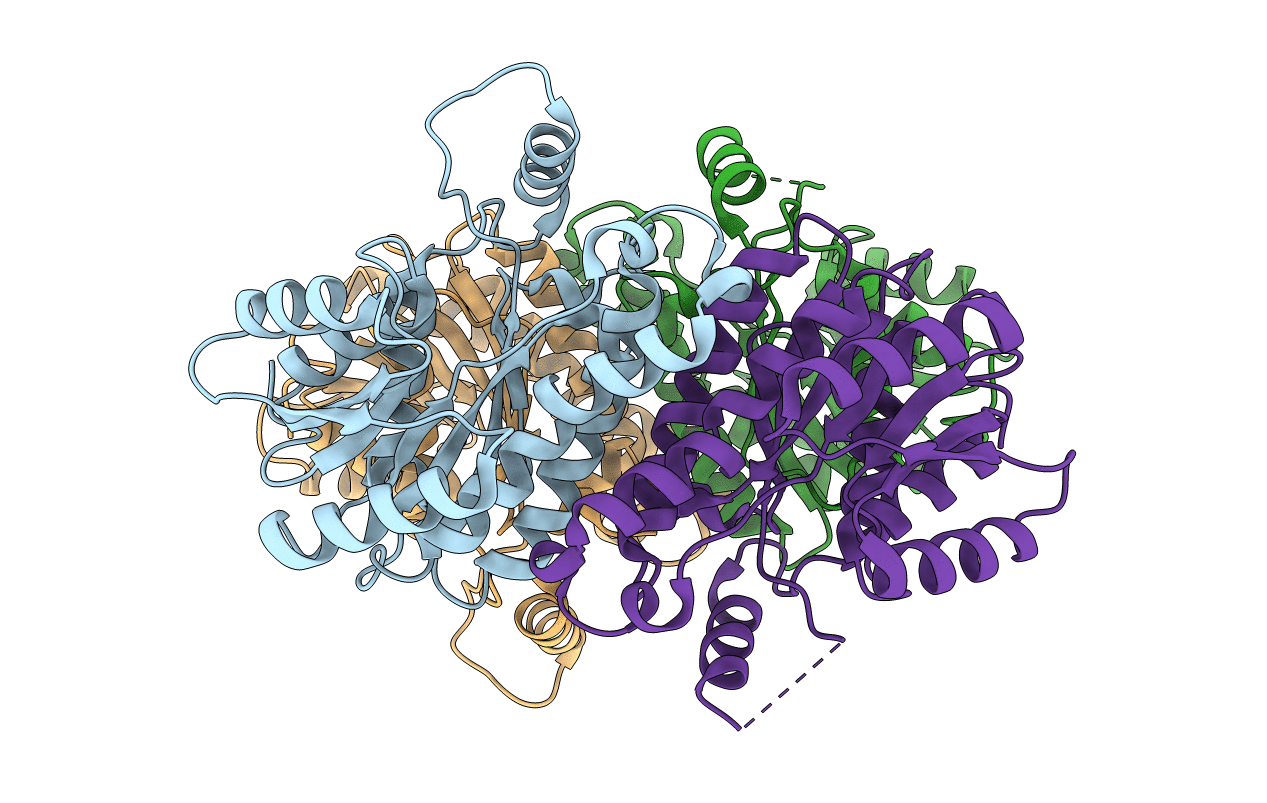 5YCV image