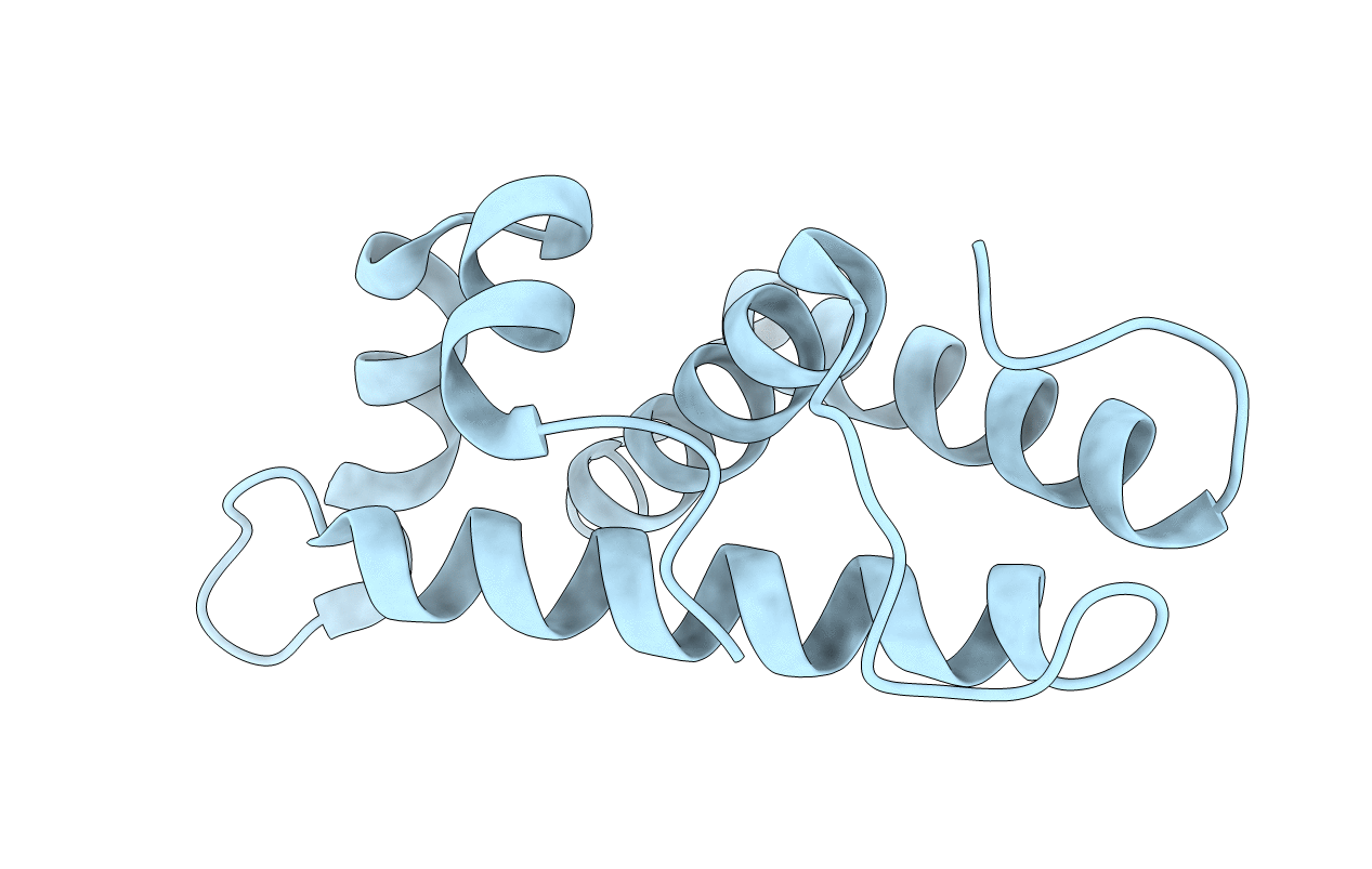 5YDN image