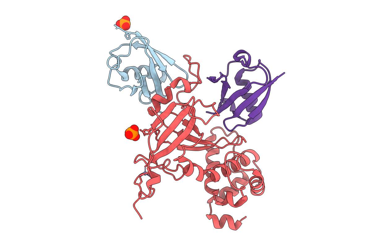 5YDR image