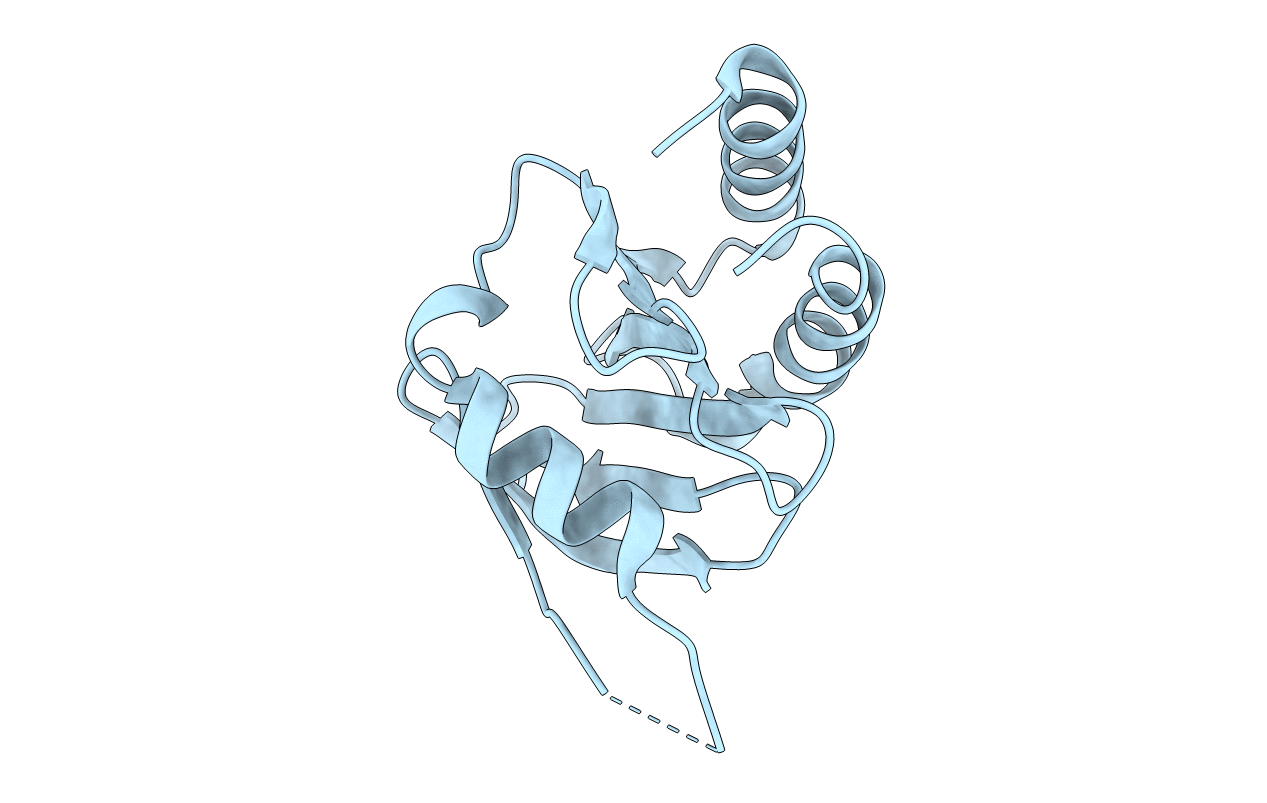 5YED image