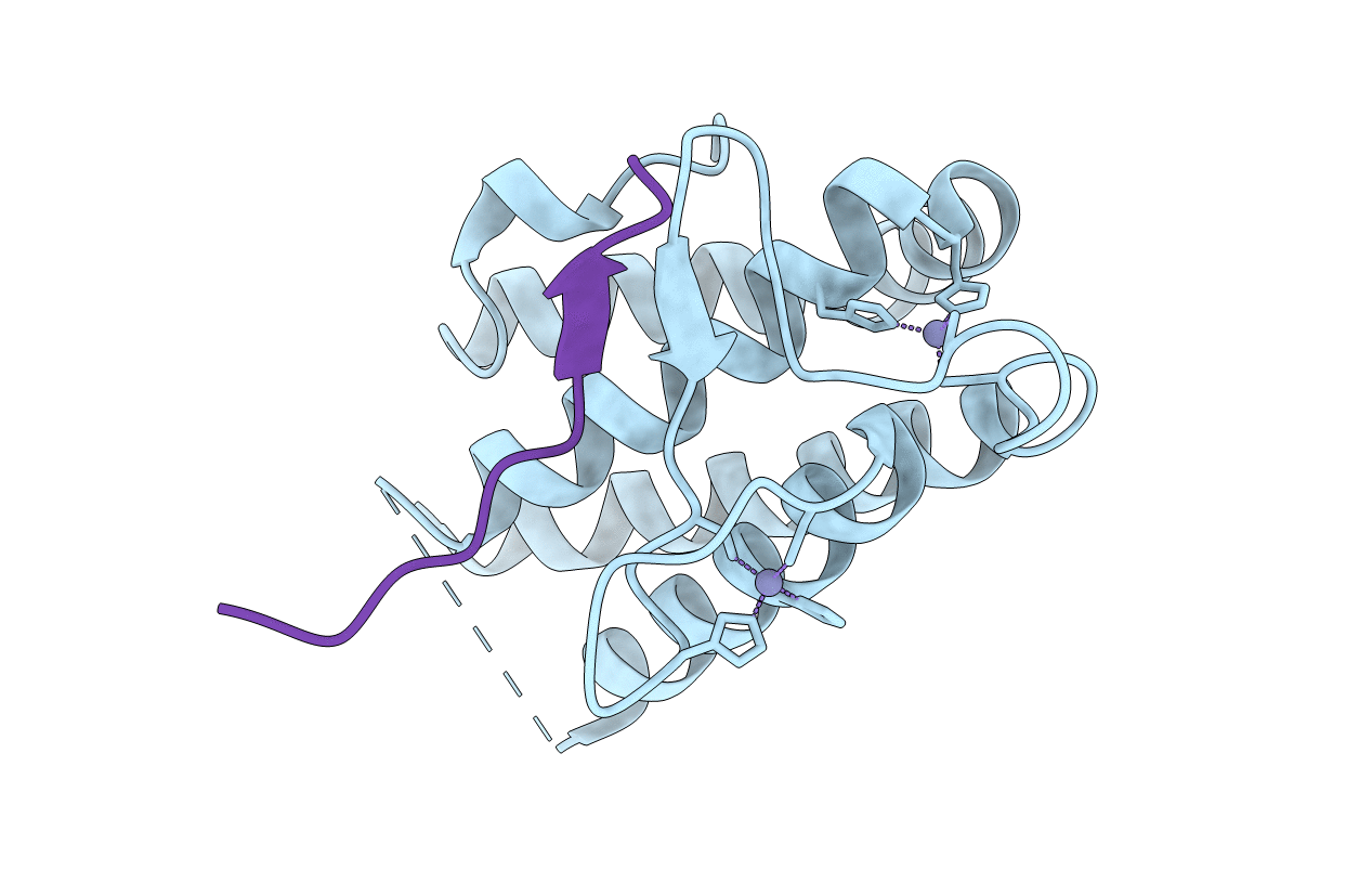 5YF4 image