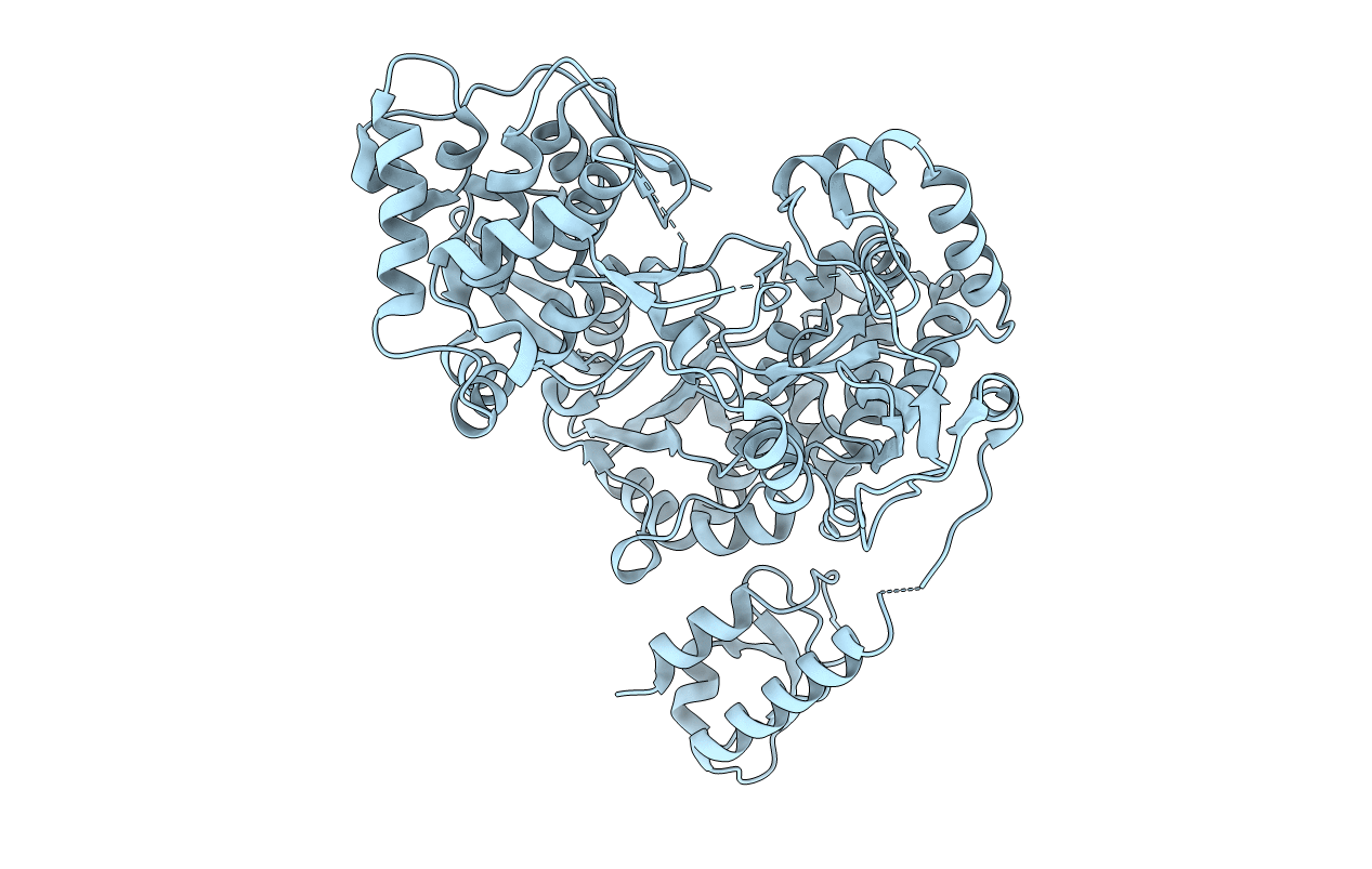 5YF6 image