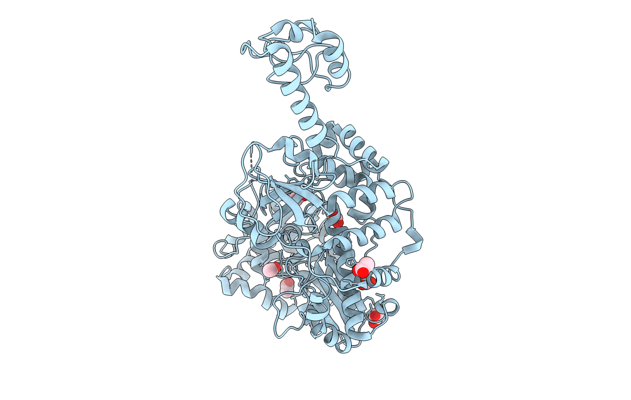 5YF8 image