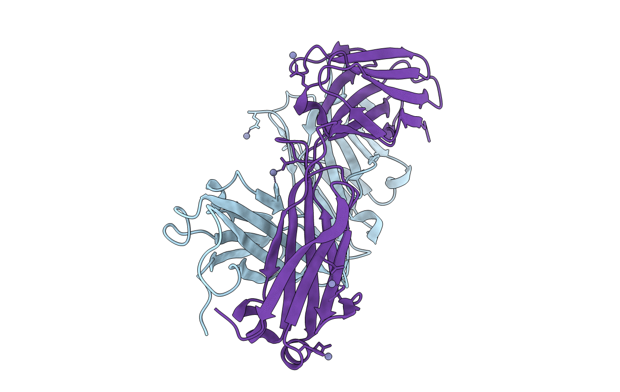 5YFI image