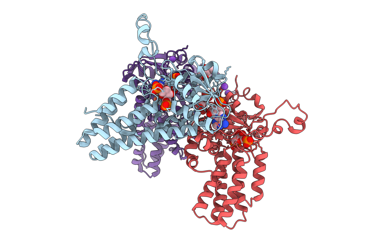 5YFV image