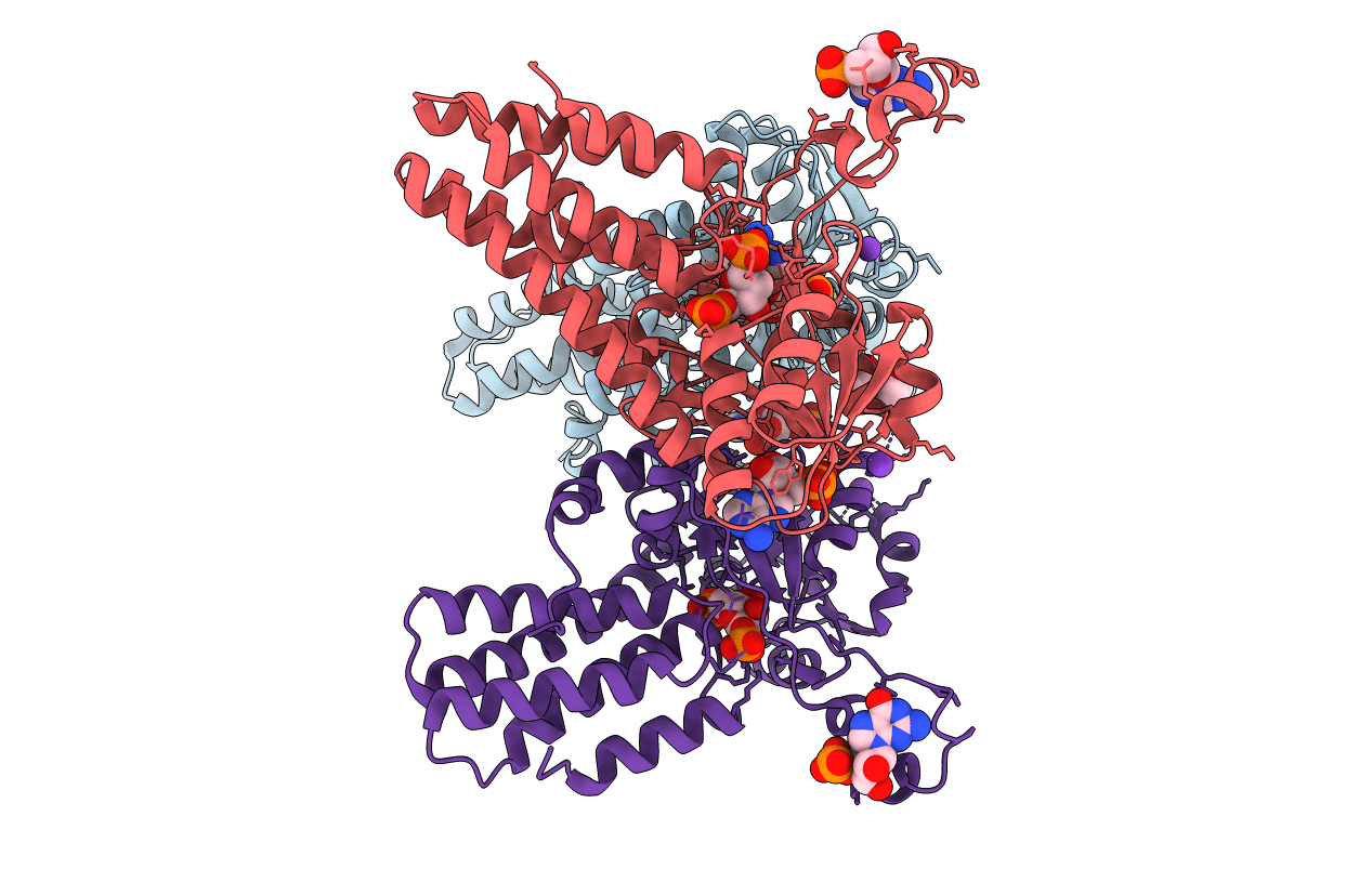 5YGA image