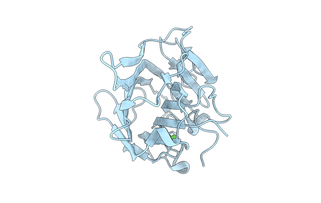 5YGM image