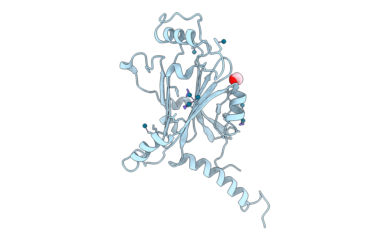 5YHA image