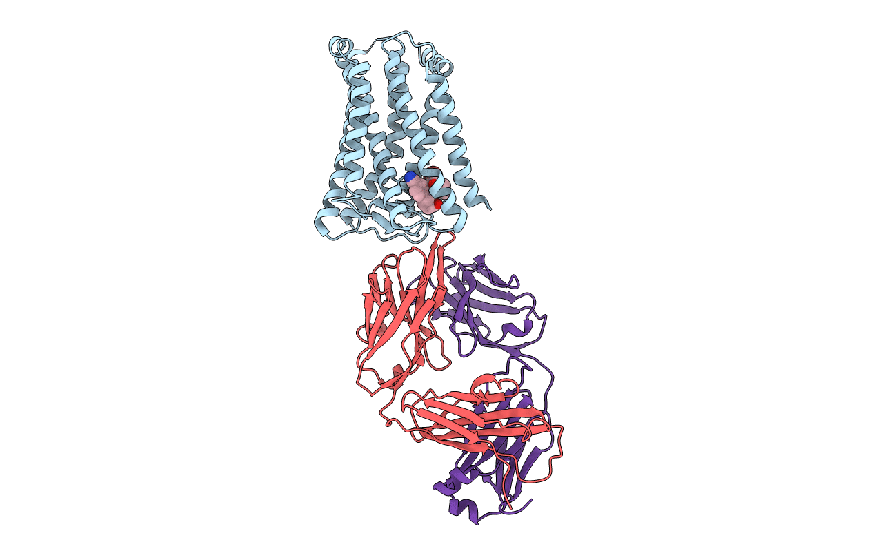 5YHL image