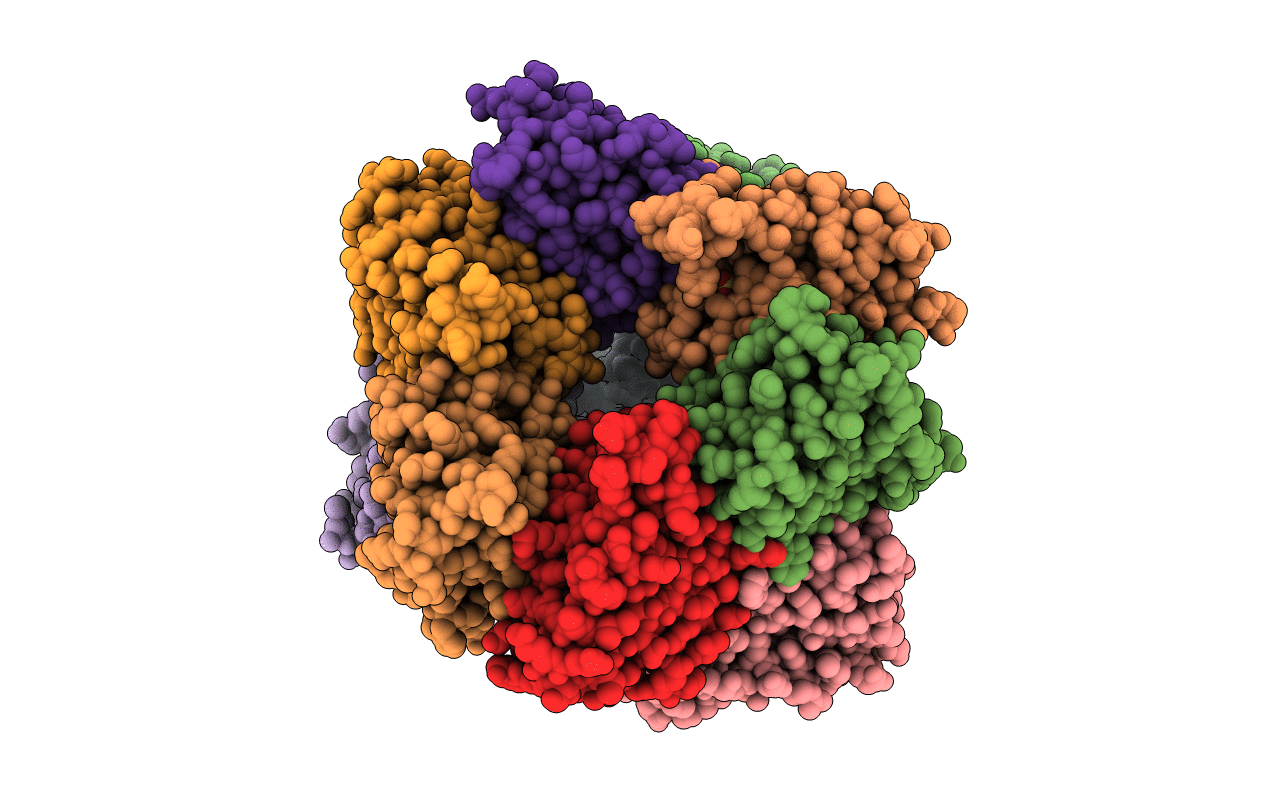 5YHM image