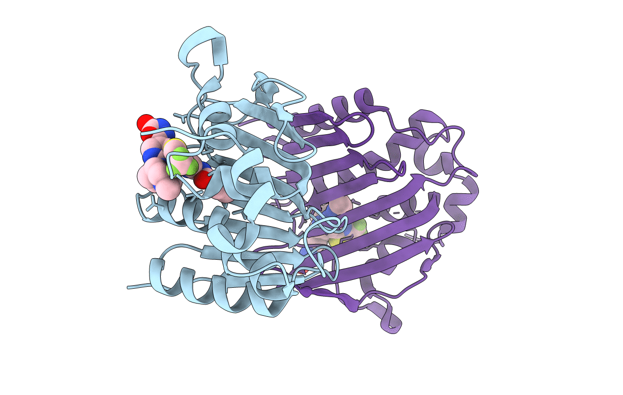 5YIG image