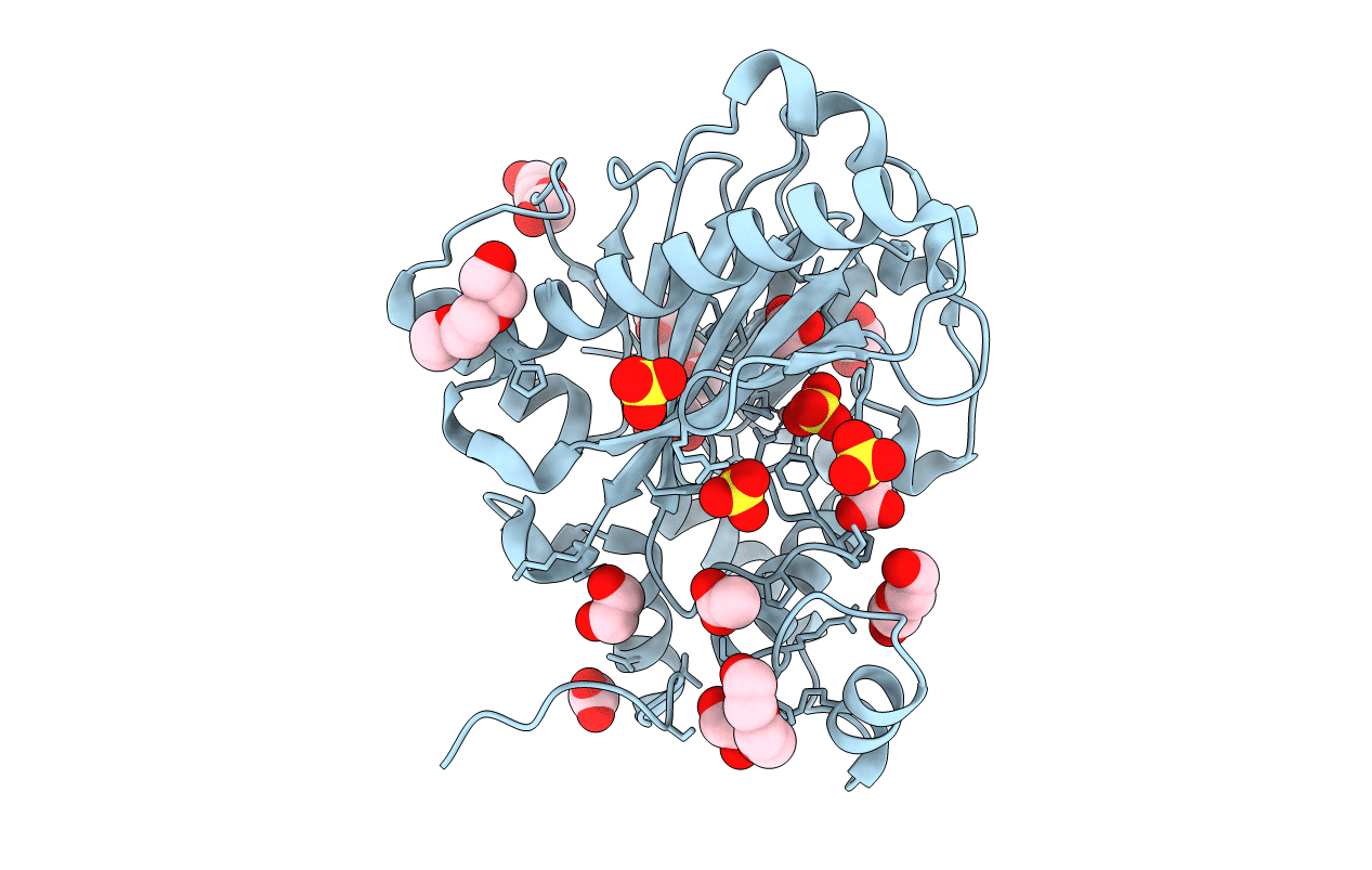 5YKA image