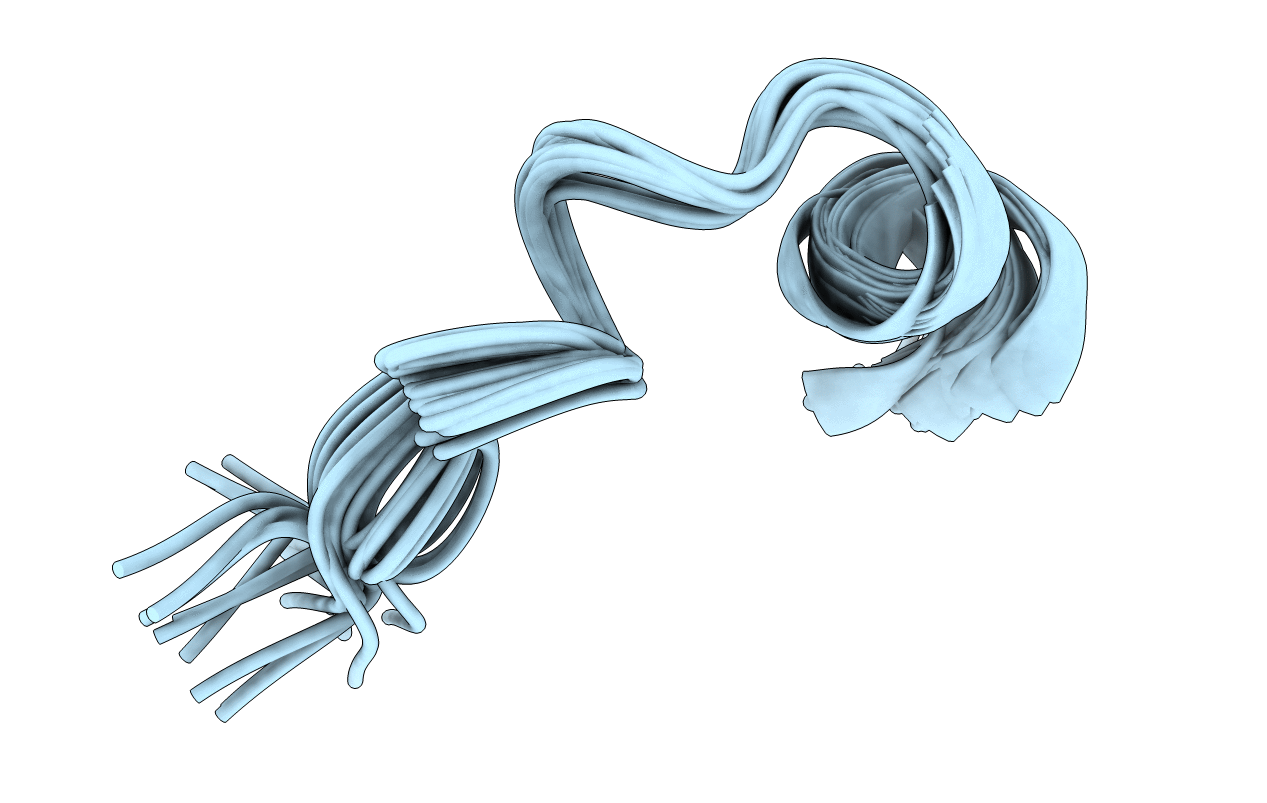 5YKK image