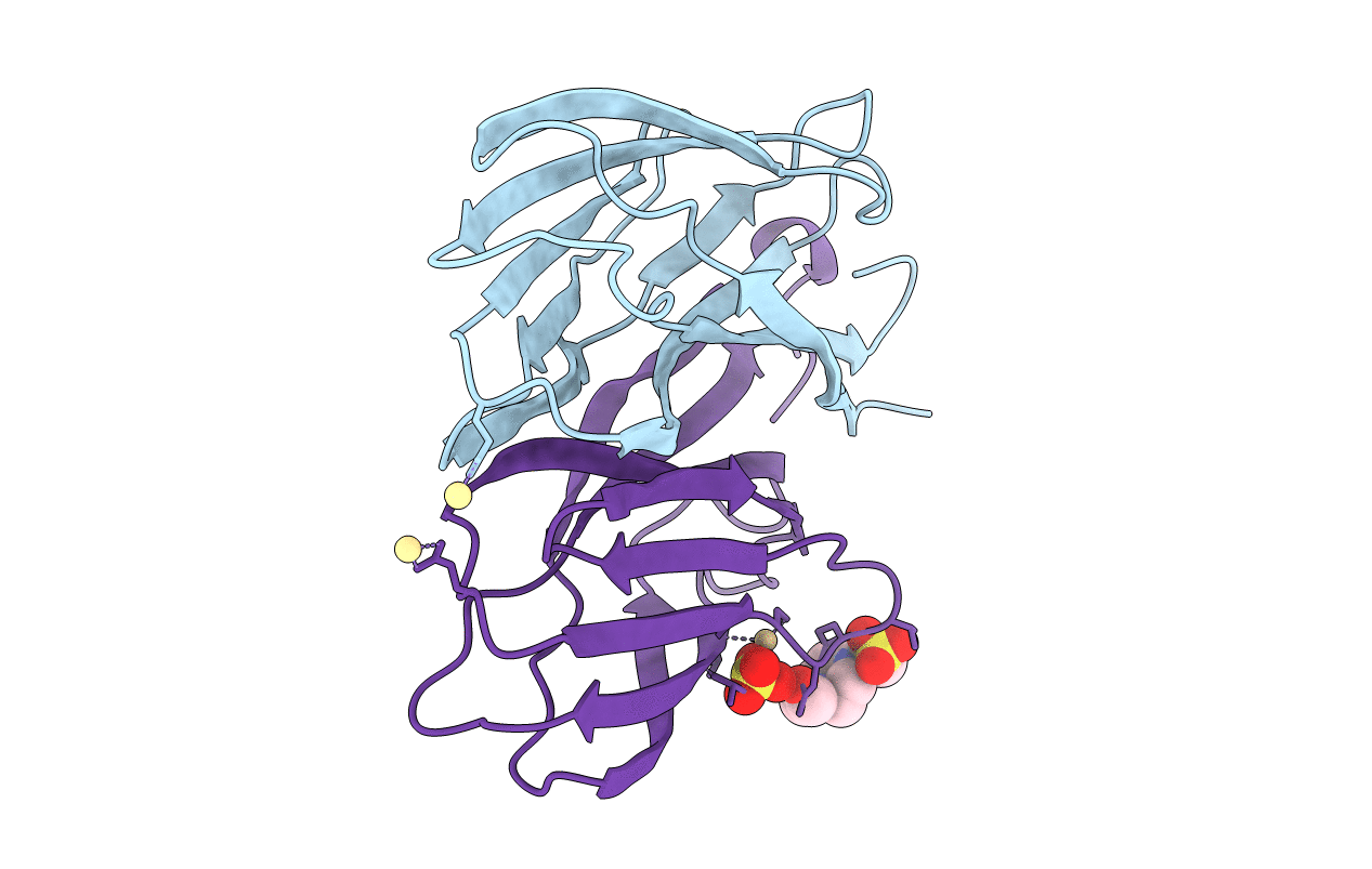 5YKX image