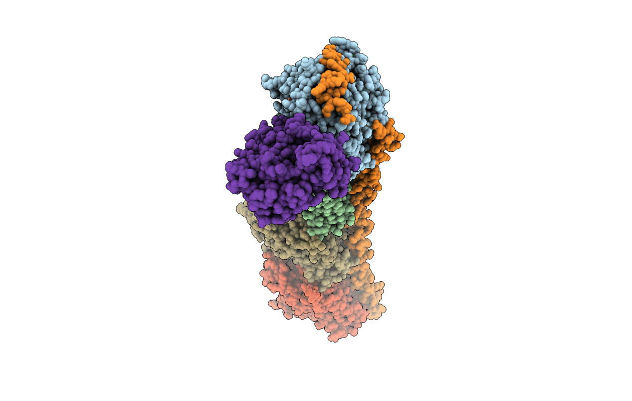 5YL2 image