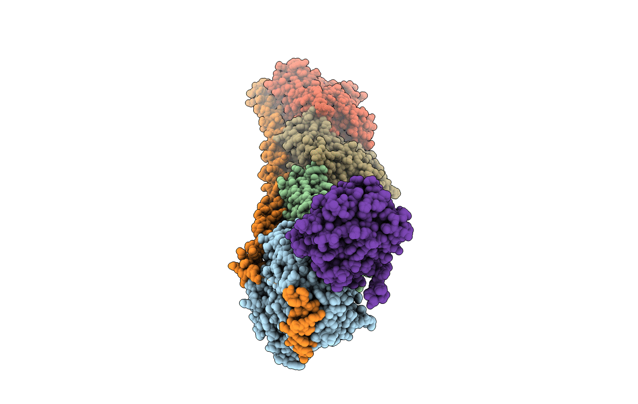 5YL4 image