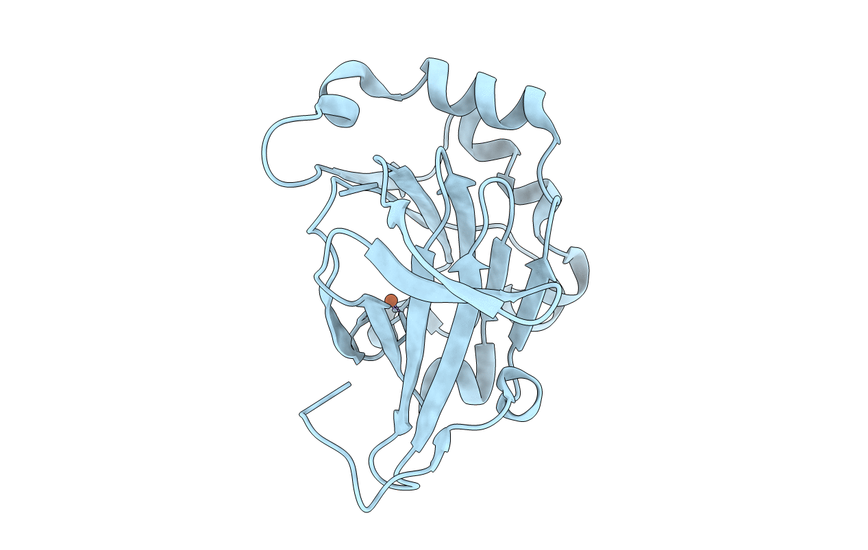 5YLB image