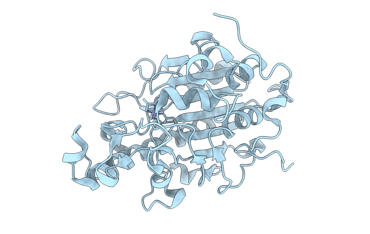 5YLC image