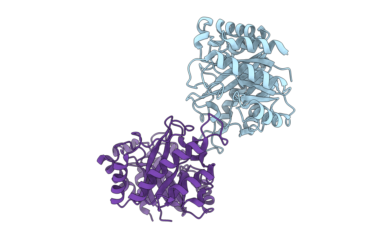 5YLH image