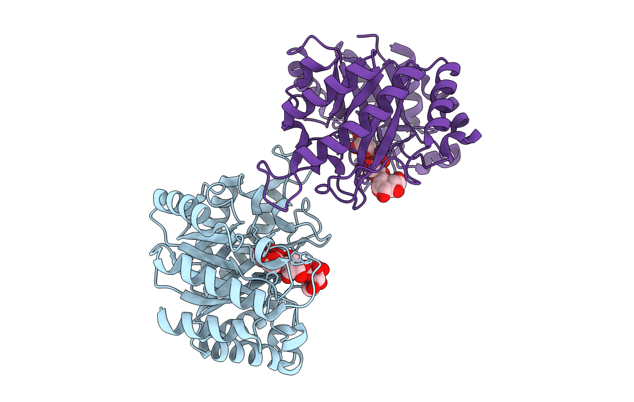 5YLL image