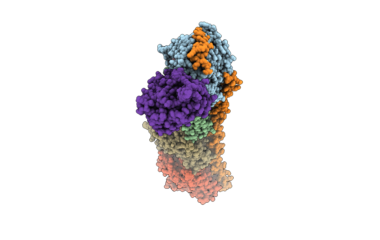 5YLS image