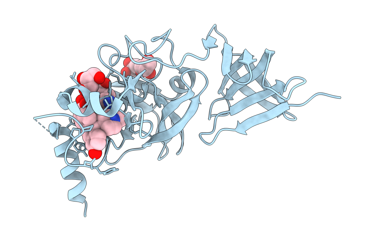 5YLT image