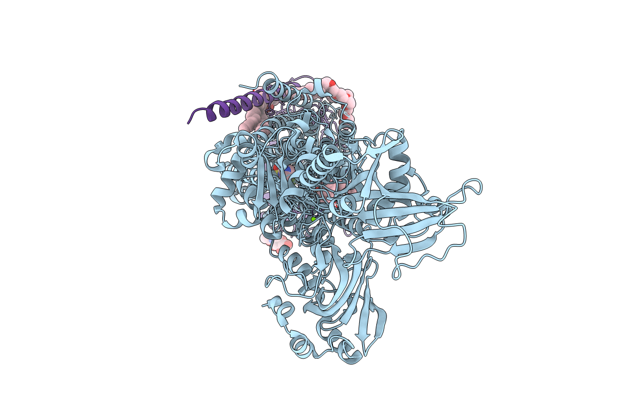 5YLU image
