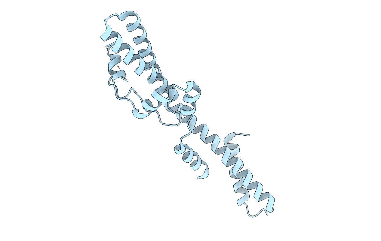 5YMA image