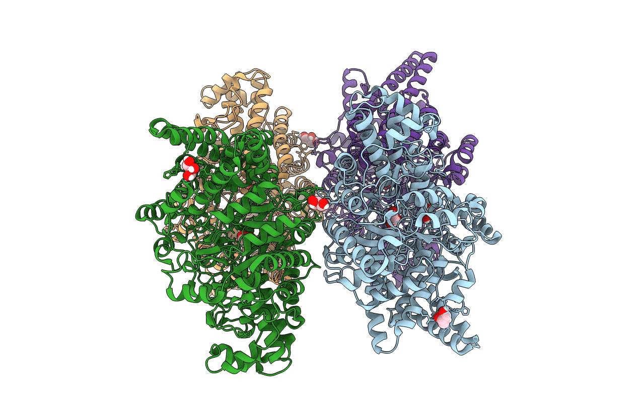 5YMR image