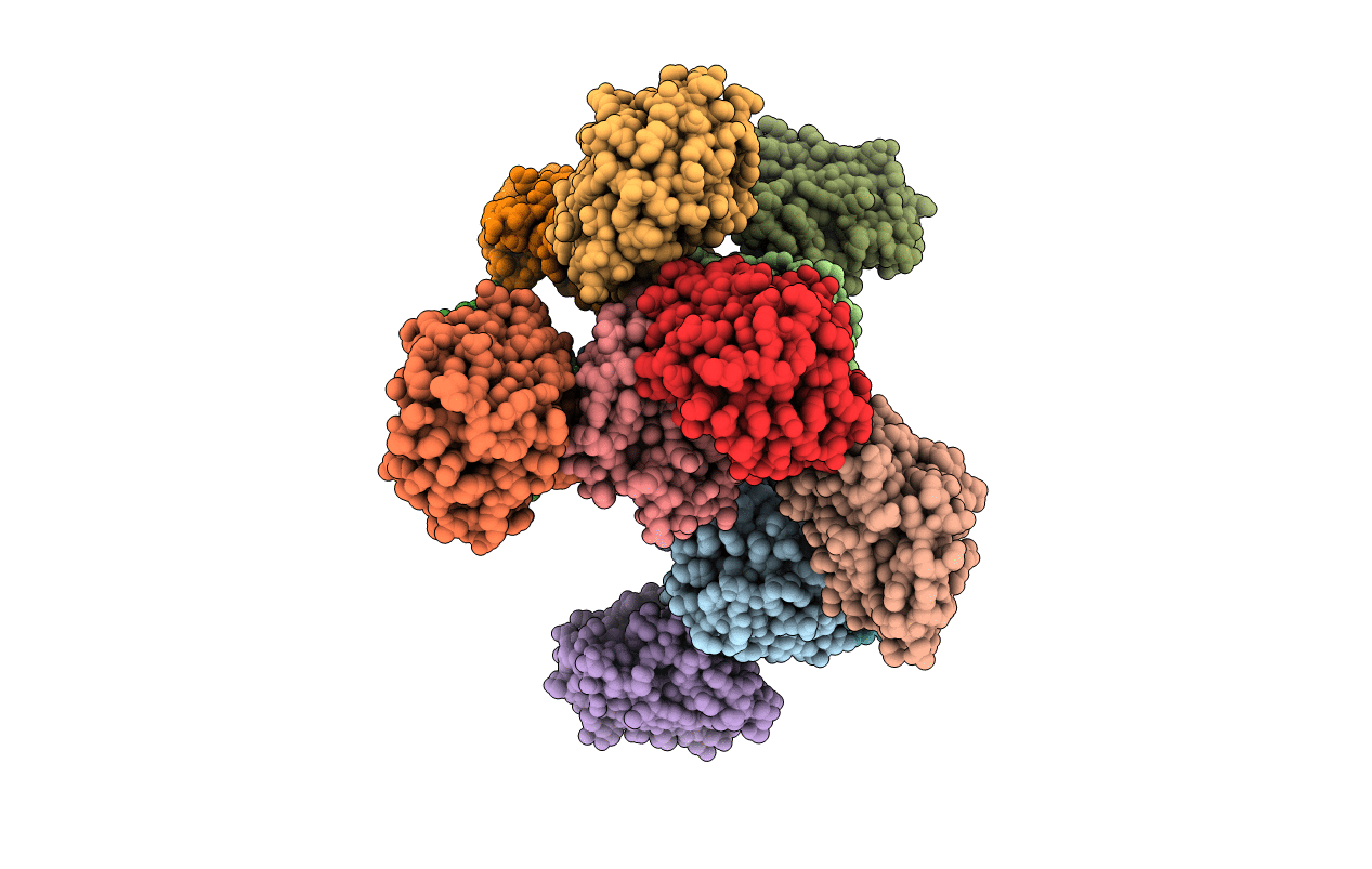 5YMT image