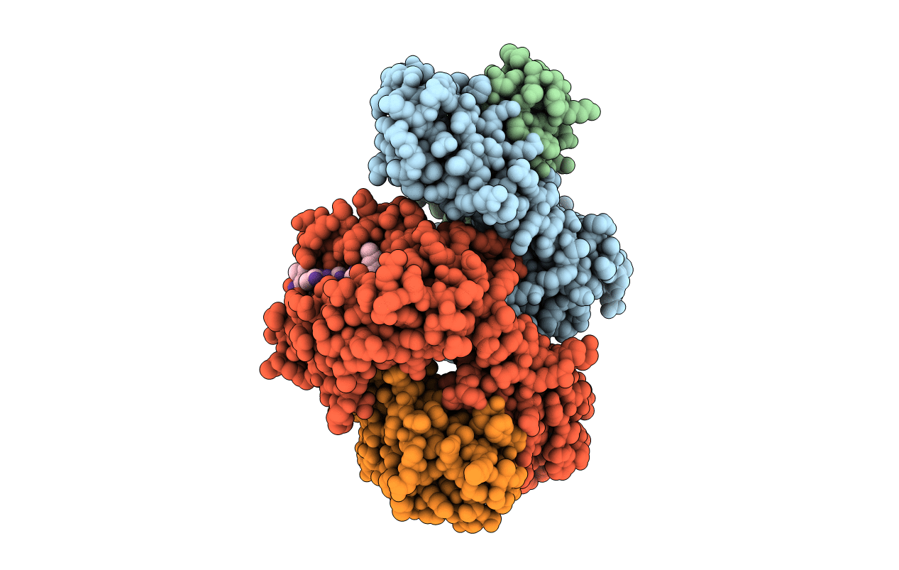 5YMV image
