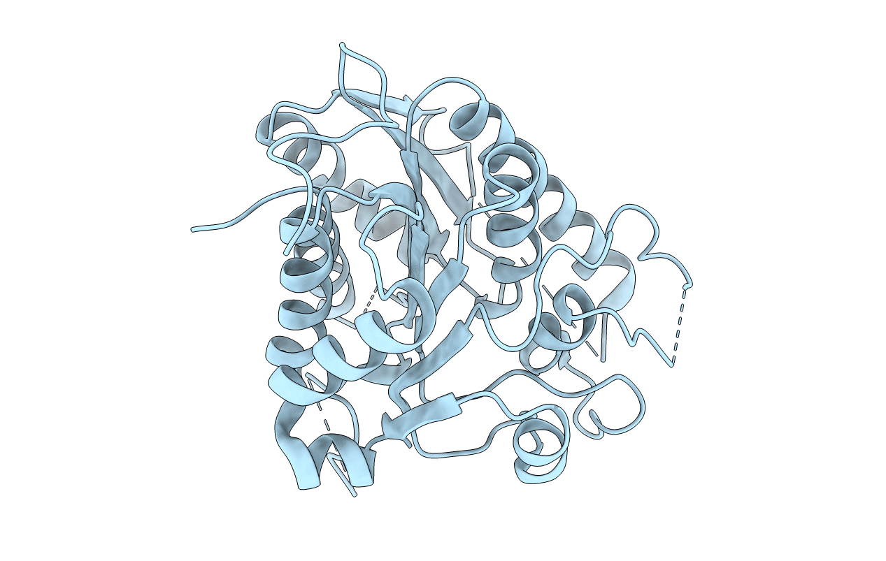 5YNL image