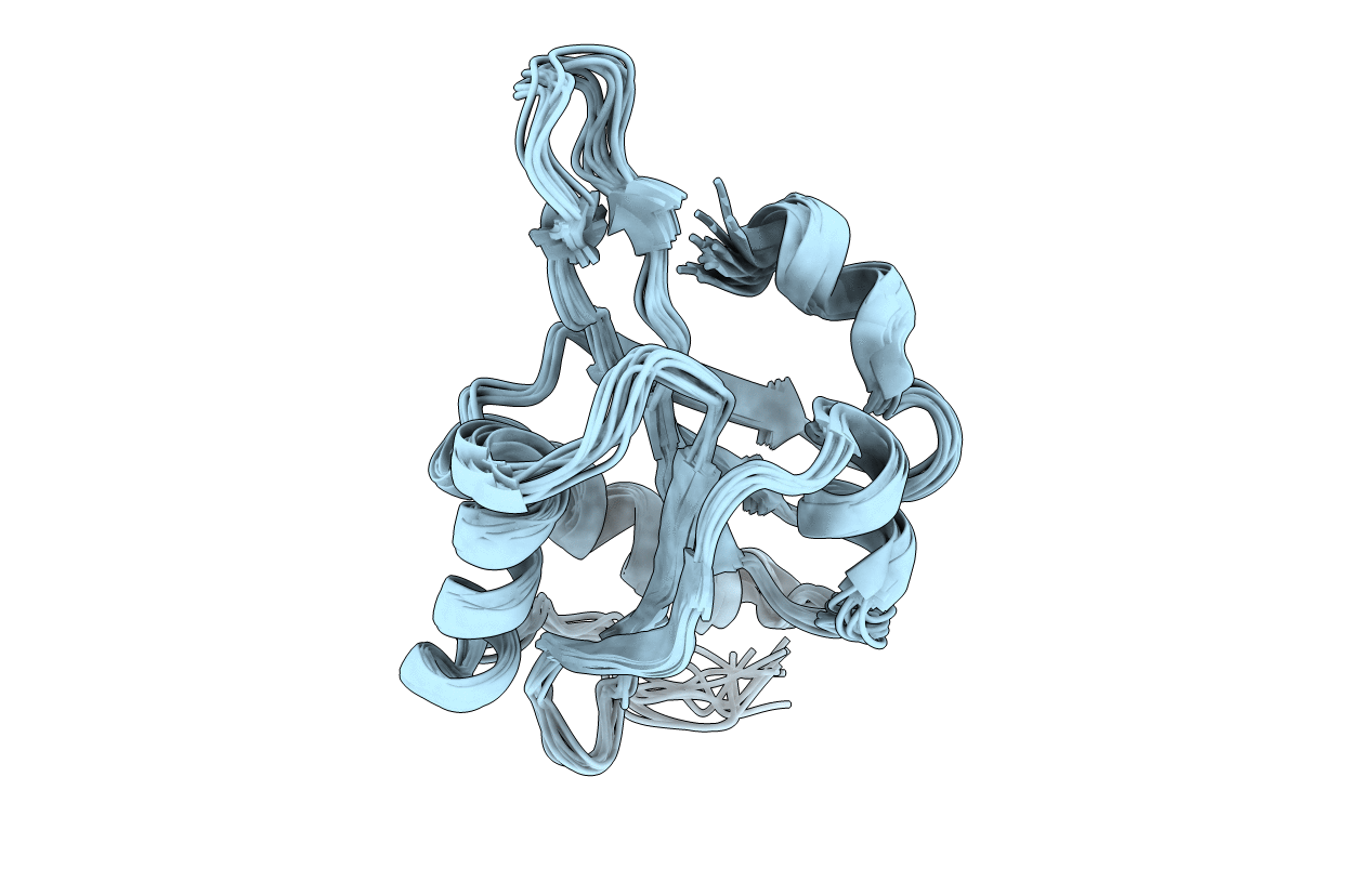 5YNR image