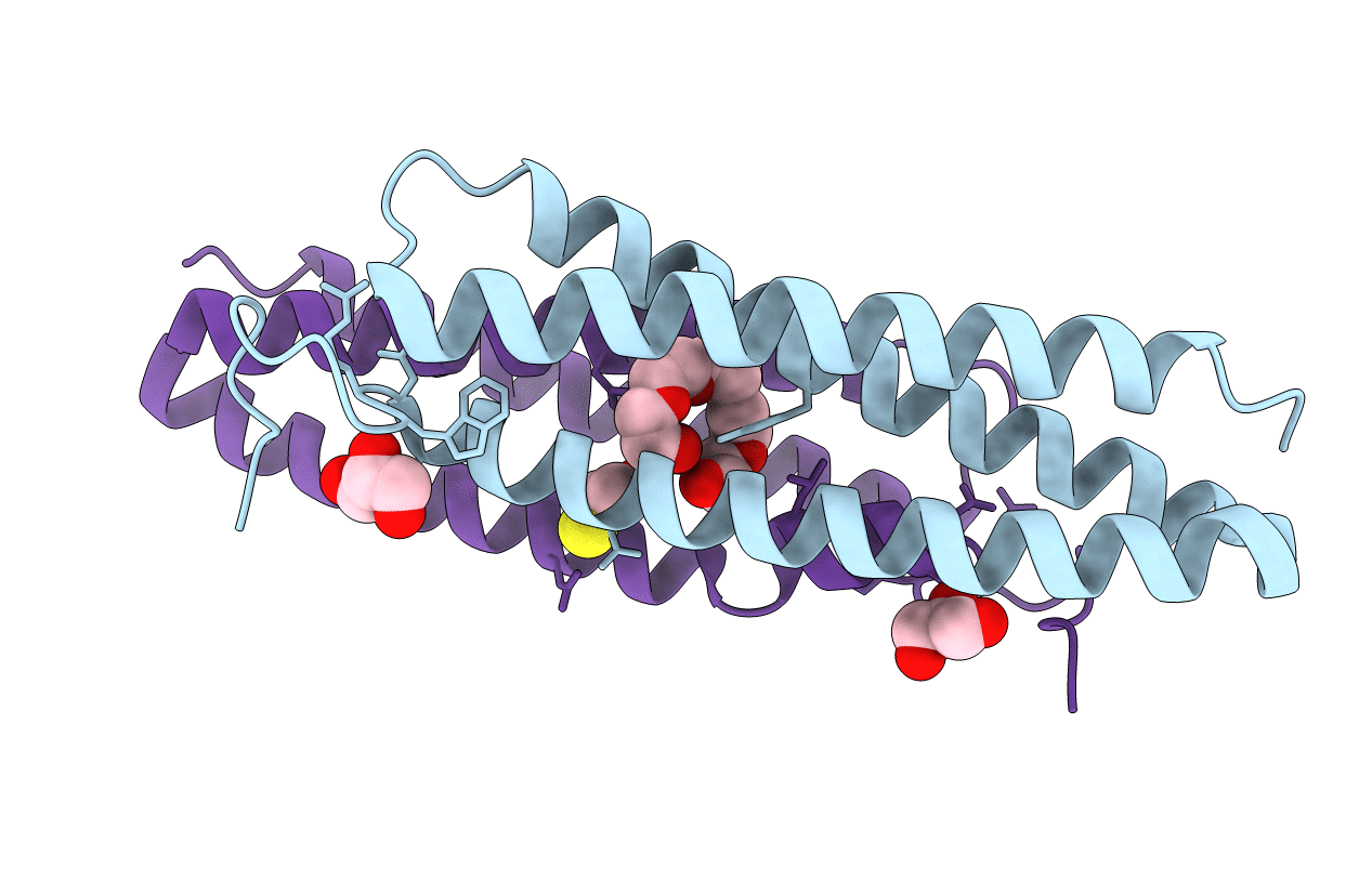 5YNX image