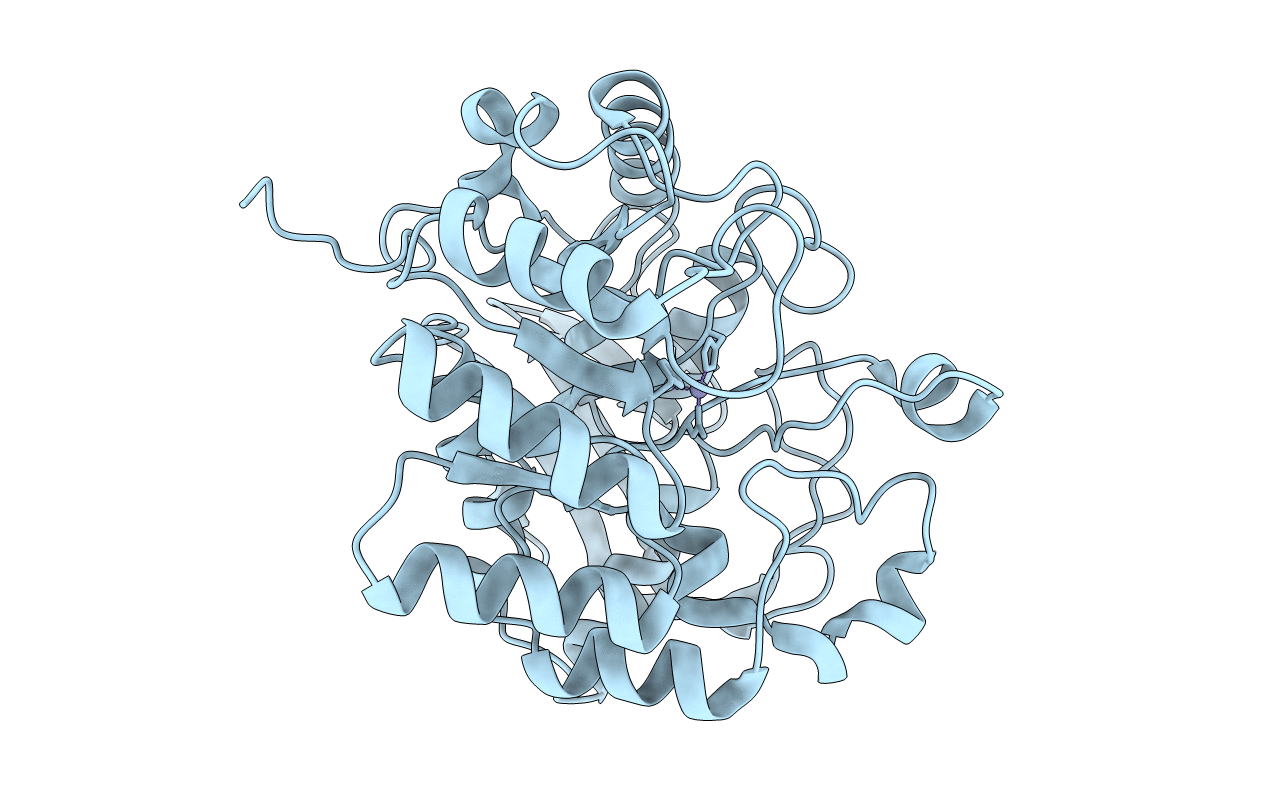 5YNZ image