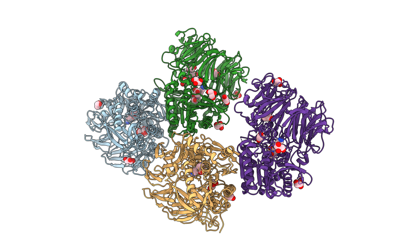 5YP4 image
