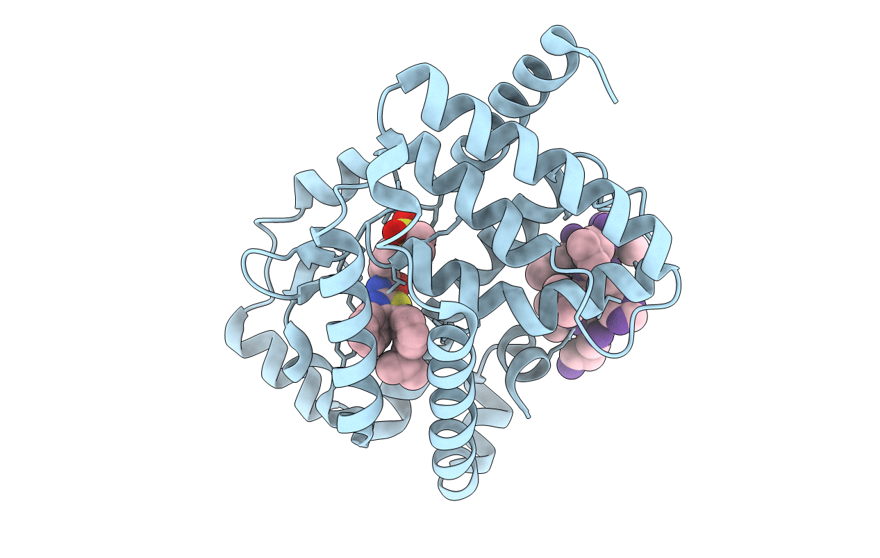 5YP5 image