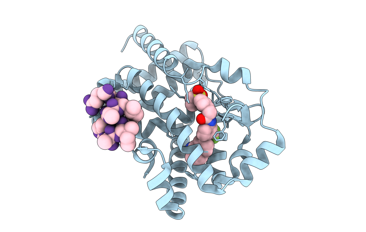 5YP6 image