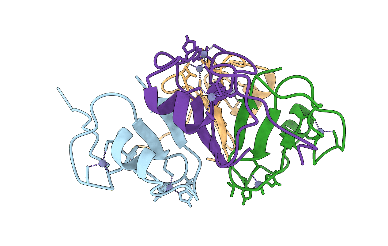 5YPC image