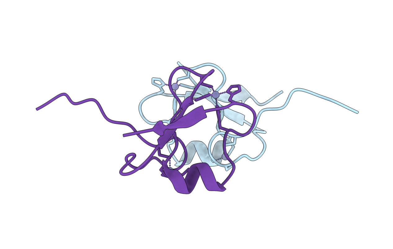 5YPH image