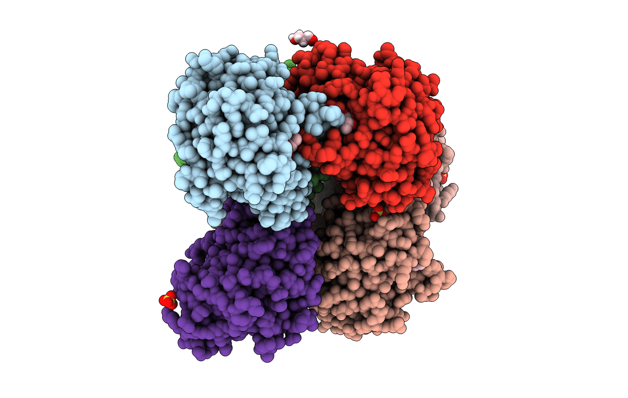 5YPI image