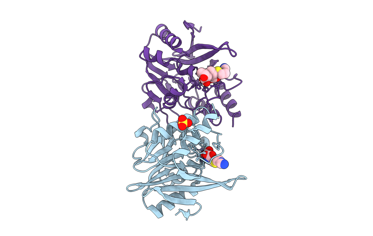 5YPL image