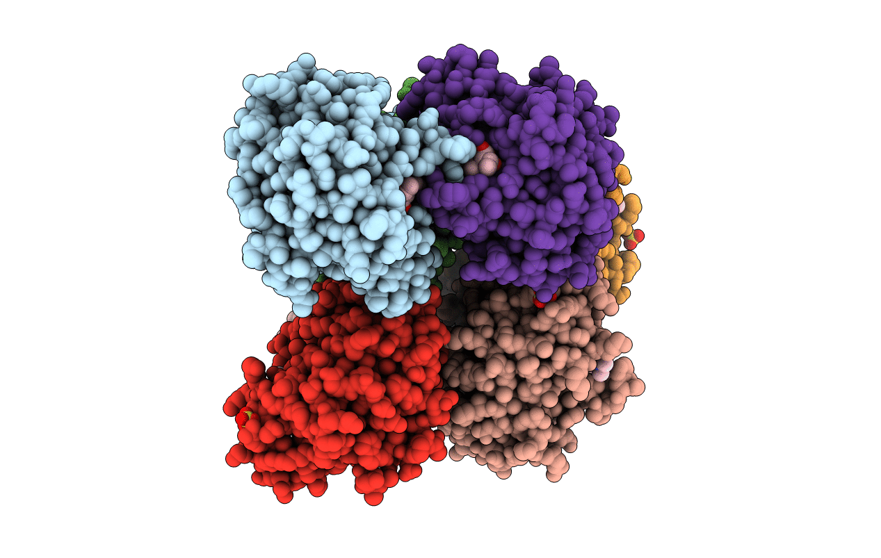 5YPM image